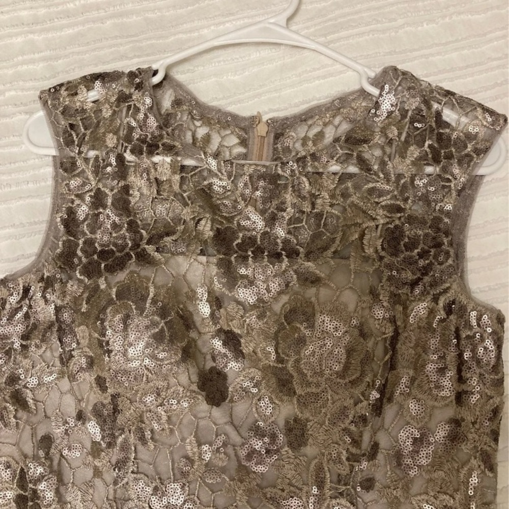 Beautiful Adrianna Pappell dress